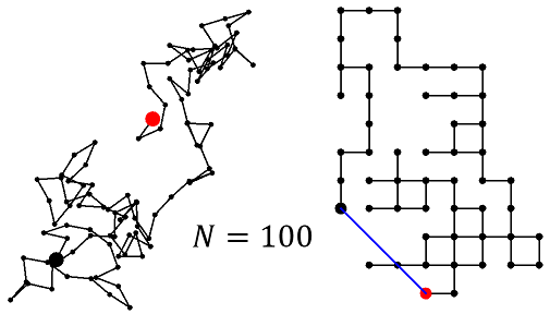 polymer configuration