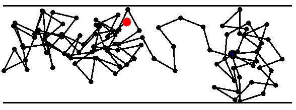 Polymer in Nanoroehre